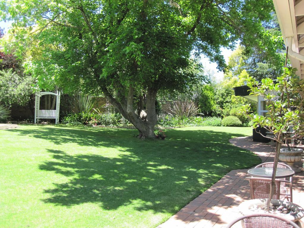 The Pecan Tree Guesthouse Sandton Ruang foto